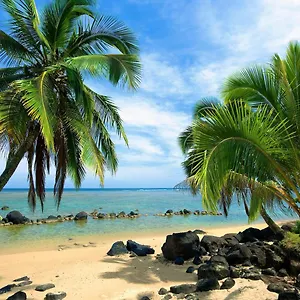 https://apt-paniolo-204b.hotelsinhawaii.org